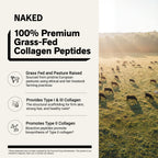Chocolate Collagen Peptides Powder | Naked Collagen - 1.3 LB