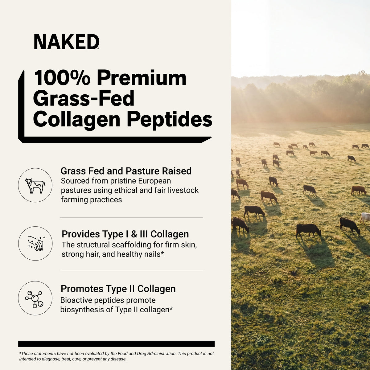 Chocolate Collagen Peptides Powder | Naked Collagen - 1.3 LB