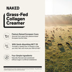 Mocha Coffee Creamer | Naked Collagen Creamer