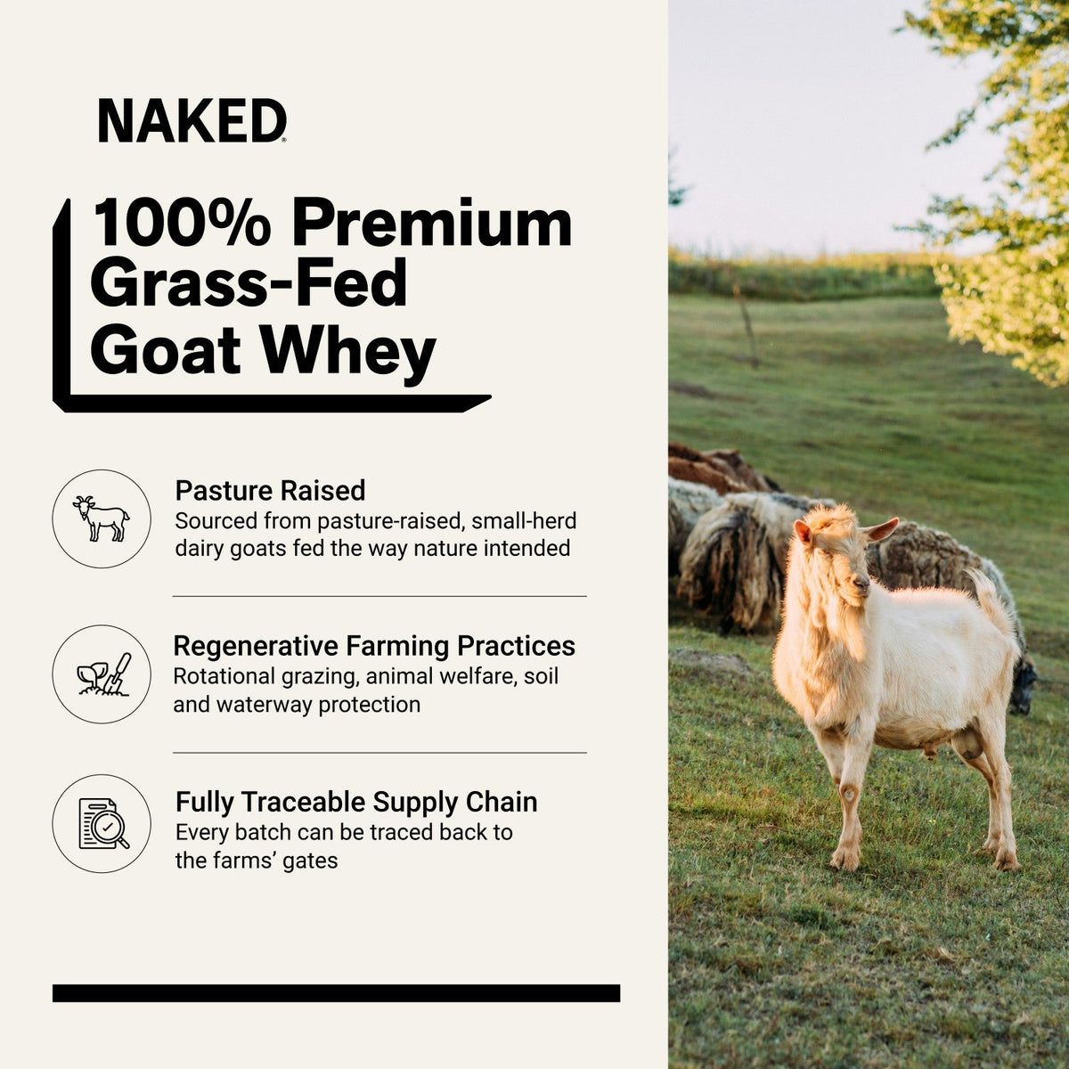 Chocolate Goat Whey Protein Powder | Naked Goat - 2lb