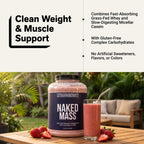 Strawberry Mass Gainer Protein Supplement | Naked Mass - 8LB
