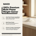 Mass Gainer Protein Supplement | Naked Mass - 12LB