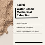 Chocolate Peanut Butter Pea Protein Powder | Naked Pea - 5LB
