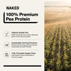 Pea Protein Powder 1lb | Naked Pea - 1lb