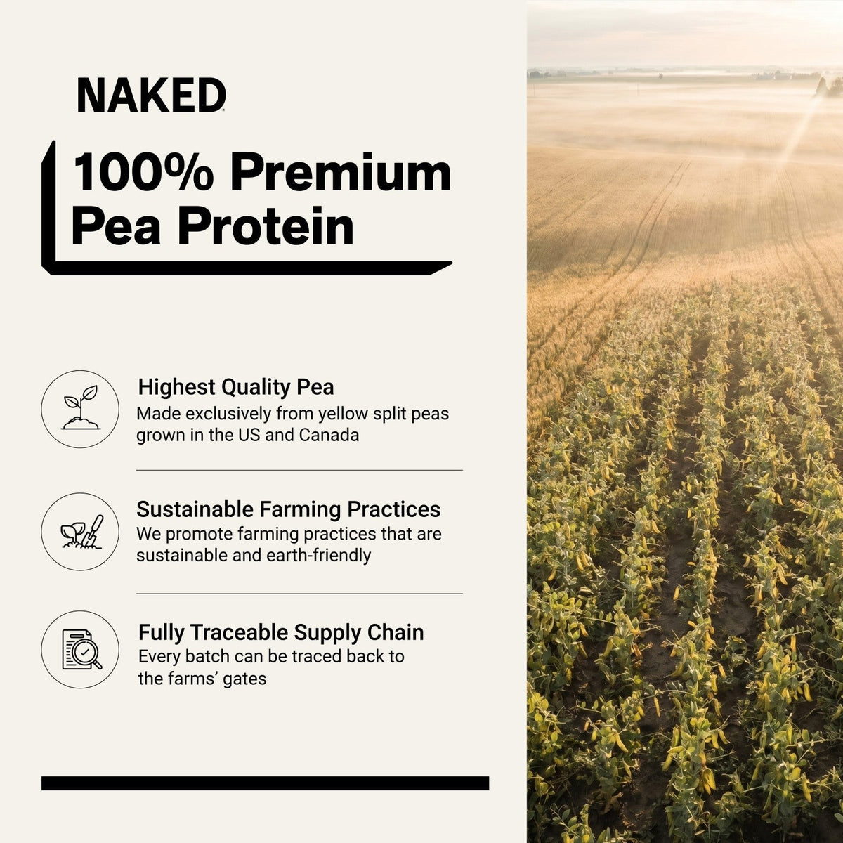 Pea Protein Powder | Naked Pea - 2LB