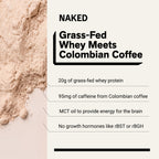 Hazelnut Latte Protein Iced Coffee | Naked Protein Coffee - 17 Servings