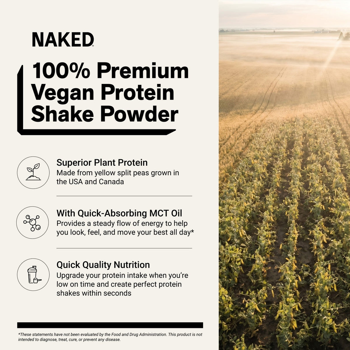 PB Blueberry Vegan Protein | Naked Shake - 30 Servings