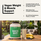 Vegan Mass Gainer Protein Powder for Muscle Growth