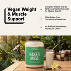 Vanilla Vegan Mass Gainer Protein Powder | No Additives