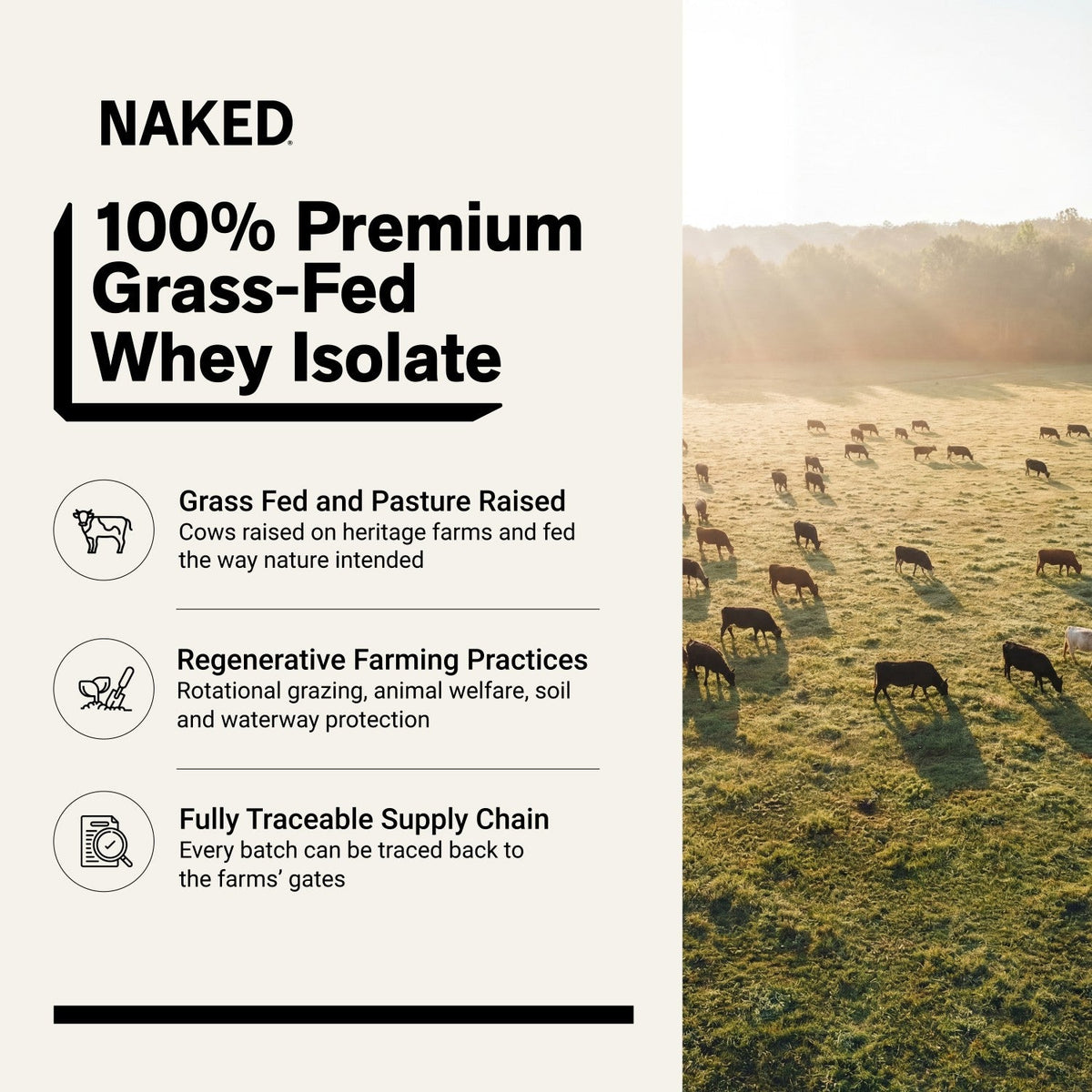 Strawberry Grass-Fed Whey Isolate Protein Powder | Naked Whey Isolate - 2LB
