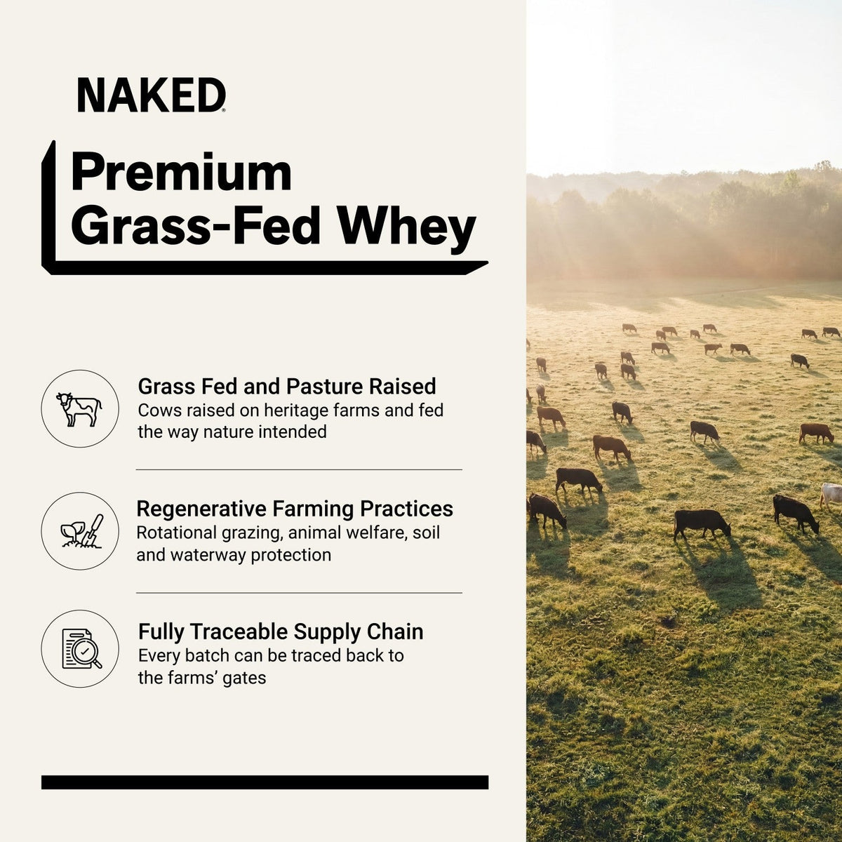 Chocolate Whey Protein Powder | Naked Chocolate Whey - 2LB