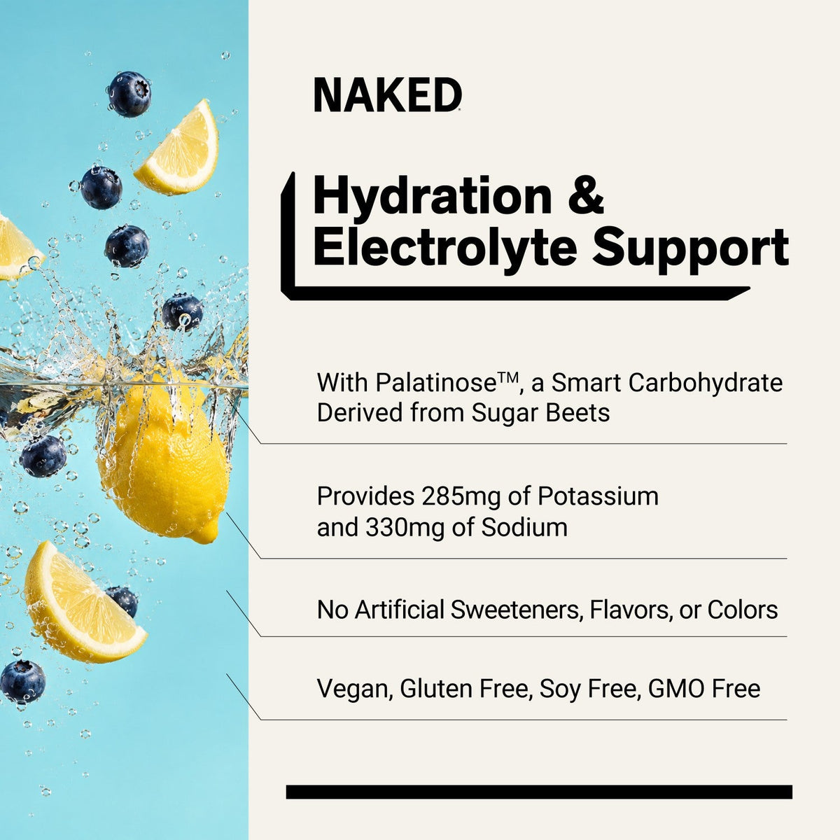 Electrolytes Powder Packets - Blueberry Lemonade | Nakedade