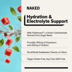 Electrolytes Powder Packets - Watermelon Mint | Nakedade